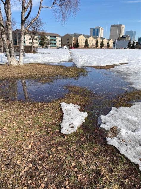 David Reamer On Twitter RT SusanBMorgan Heres The Park Strip Today