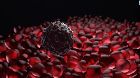 cell animations  visual journey   building blocks  life