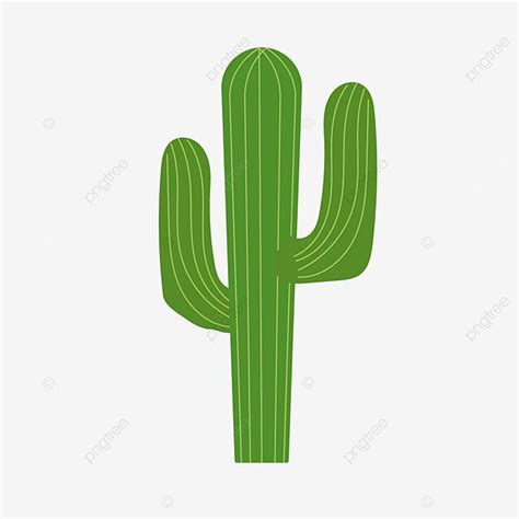 Pin On CACTUS