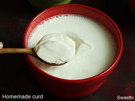 How To Make Curd Dahi Recipe Indian Yogurt Therecipecritic