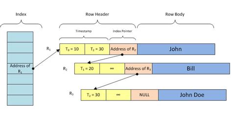 Github Roberta Bioinformatics Project Customizing Database With