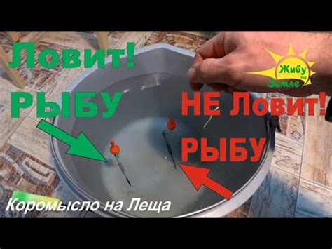 Зимнее Коромысло. Ошибка в Оснащении При Ловле Леща - YouTube
