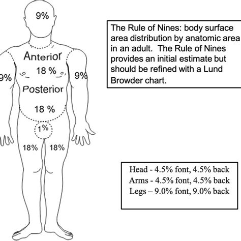 The Rule Of Nines Source Usair Burn Center Used With Permission