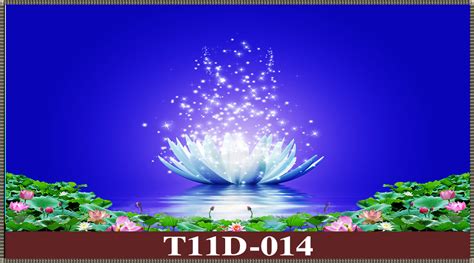 T11D-014
