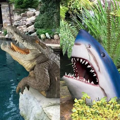 Great White Shark Vs Crocodile