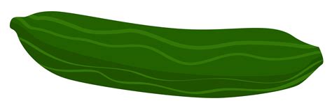 Cucumber Clip Art