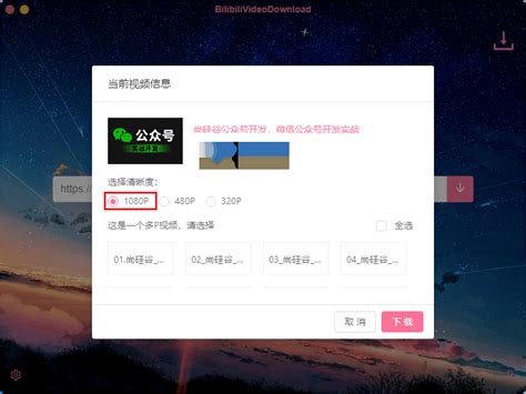 Bilibilivideodownloadb站视频下载工具v333 中文免费版 下载集