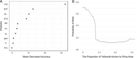 Revisiting An Old Issue Sex Identification Of Short Eared Owls Asio Flammeus At An Asian
