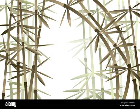 Vector Bamboo Forest Stock Vector Image And Art Alamy