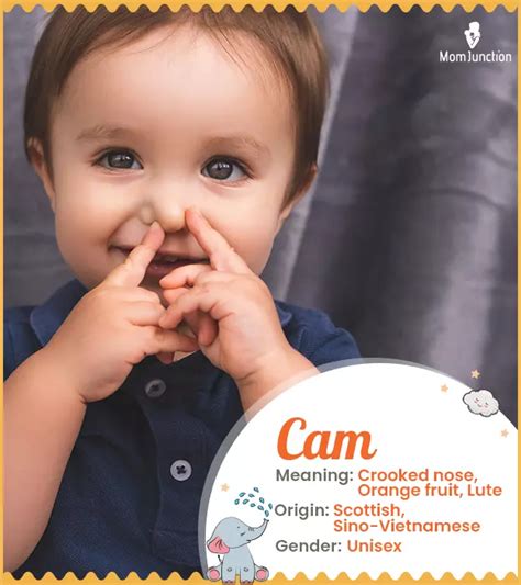 cam meaning origin popularity