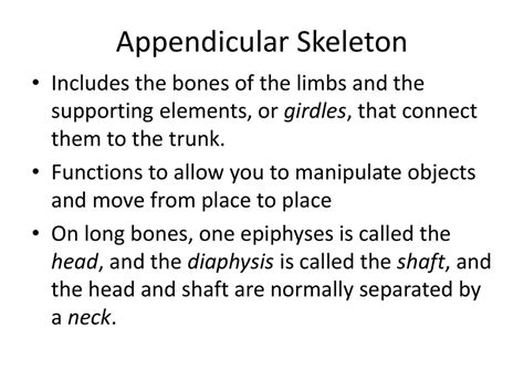 ch  appendicular skeleton