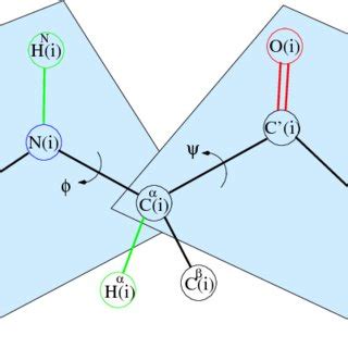 Protein Geometry Two Peptide Planes P I And P I And The Atoms Of