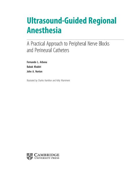 Solution Ultrasound Guided Regional Anesthesia A Practical Approach To Peripheral Nerve Blocks