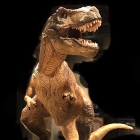 Tiefe Einblicke German Amateur Amateur Porn Xhamster