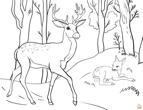 Adorables coloriages de faon et de biche une délicieuse poursuite