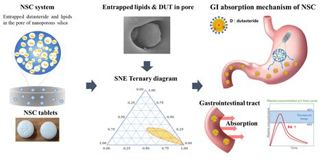 Nanoporous Silica Entrapped Lipid-Drug Complexes for the Solubilization and Absorption ...