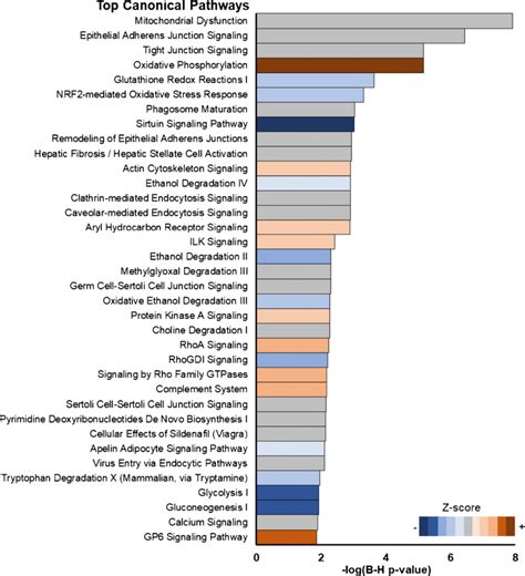 Top Canonical Pathways Identified By Ingenuity Pathway Analysis Of