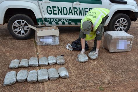 Realizan La Apertura De Dos Encomiendas E Incautan Más De 24 Kilos De Marihuana El Misionero