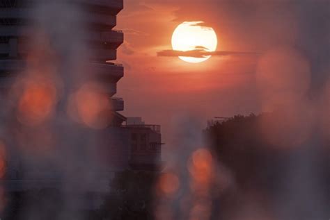 D B O N Ng N Ng Gay G T Tr L I Ng Nam V S K O D I