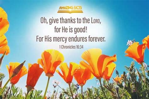 Scripture Pictures From The Book Of 1st Chronicles Amazing Facts