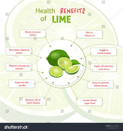 Health Benefits Lime Limes Nutrients Infographic Stock Vector Royalty