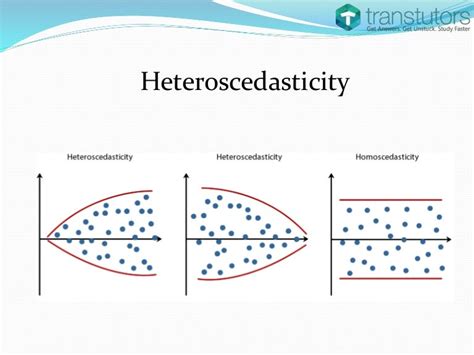 Heteroscedasticity Eonomics