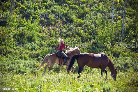 A Cowgirl Riding Her Horse Through A Field Stock Photo Download Image