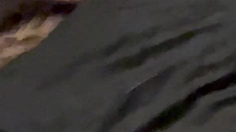 Proud Master Free Porn Videos YouPornGay