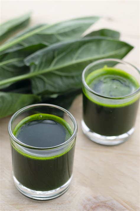 How to juice Spinach – How to make Spinach Juice – Ma Recipes