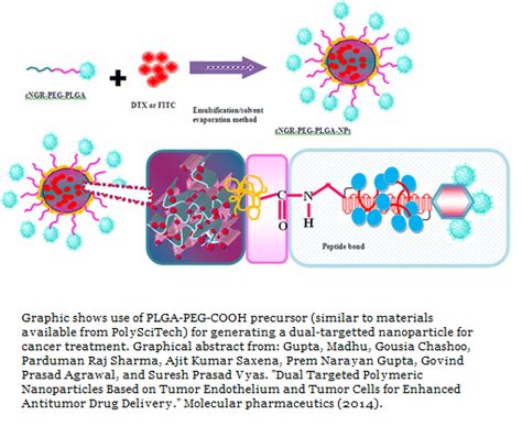 PolySciTech Technical Blog: PLGA-PEG-COOH precursor for targeted cancer ... 