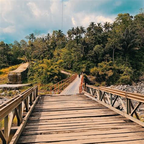 Premium Photo Footbridge Amidst Plants Against Sky