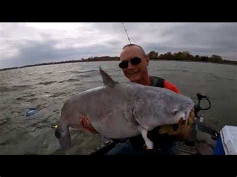 Catfishing With Planer Boards B Kat YouTube