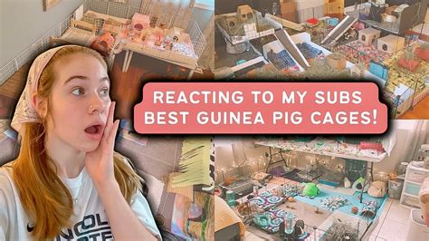 Reacting To My Subscribers BEST Guinea Pig Cages YouTube