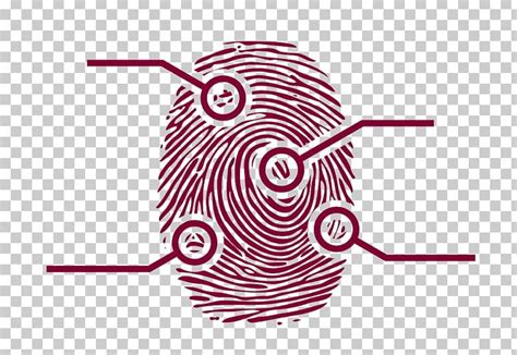 Fingerprint Forensic Science PNG, Clipart, Area, Circle, Clip Art, Finger, Fingerprint Free PNG ...