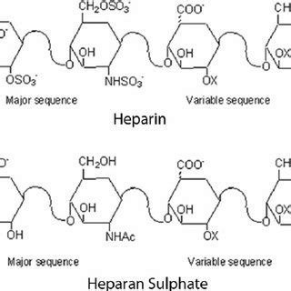 (PDF) The potential role of heparin in assisted conception