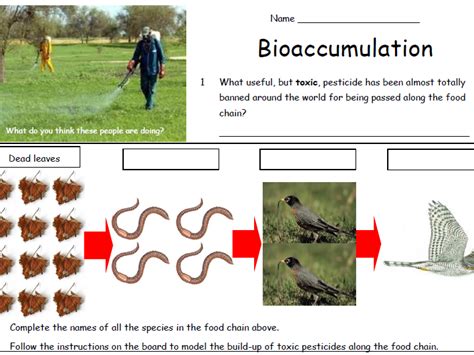 Bioaccumulation | Teaching Resources