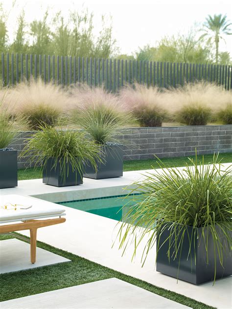 Modern Planters Landscape Design Zen Design Designinte