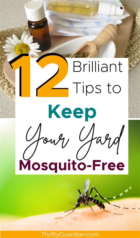 How To Keep Mosquitoes Away From Your Backyard Naturally Artofit