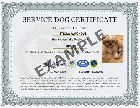 Custom USA Working Dog Certificate – Assistance Dog Supplies
