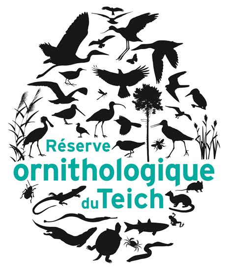 une nouvelle identite visuelle pour la reserve reserve ornithologique