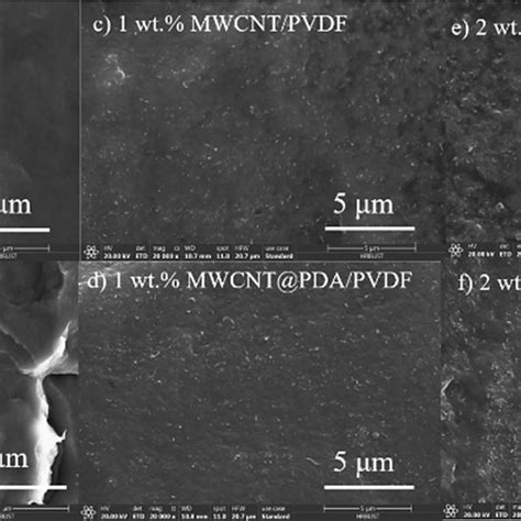 The Brittle Fracture Cross Sectional Morphology Of The Pure Pvdf Film Download Scientific