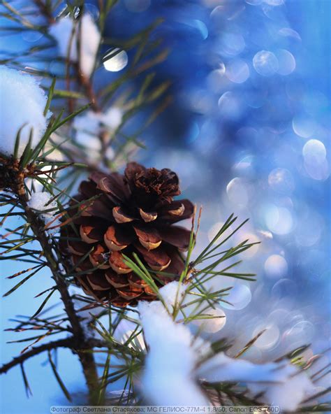 Магия на Гелиос-77м-4 от Светланы Стасяковой | Радожива