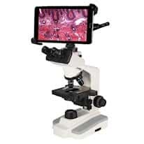 Compound Microscopes From Cole Parmer China