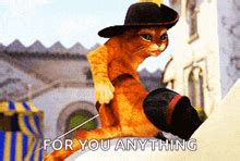 Puss In Boots2 Cats GIF - Puss In Boots2 Cats Talking - Discover ...