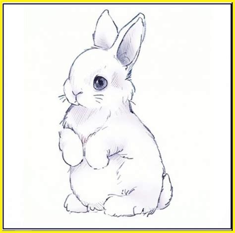 sketsa gambar kelinci lucu mudah dibuat lengkapkumpulan sketsa