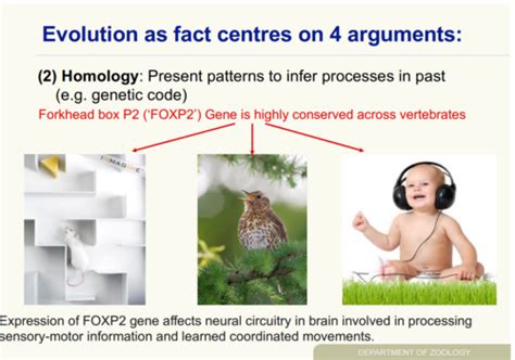 Evolution Flashcards | Quizlet