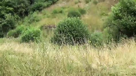 The Pussy Is Better Full Movie Story Hardcore Porn Feat Boom Boom Bridgette By Pinko CLUB