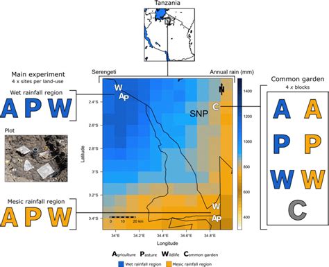 Tea Litterbag Decomposition Locations And Experimental Set Up Tea