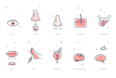 Design a set of awesome custom icons by Madelinehui | Fiverr