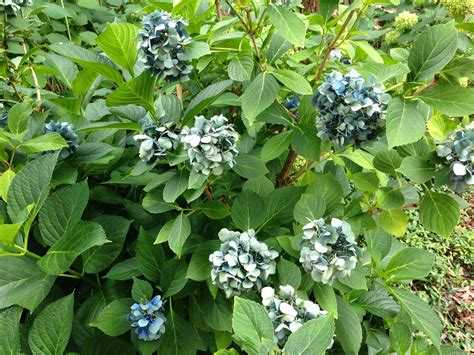 Uwharrie Point - Our residents take great pride in their...